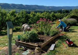 🌱 Central Gorge Master Gardener Association 2022 Year in Review