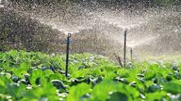 Irrigation