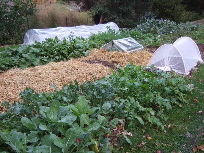 Tucking in your garden to awaken next Spring