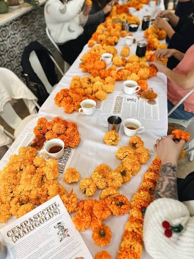 Connecting the Traditions of Dia de Los Muertos to the Garden
